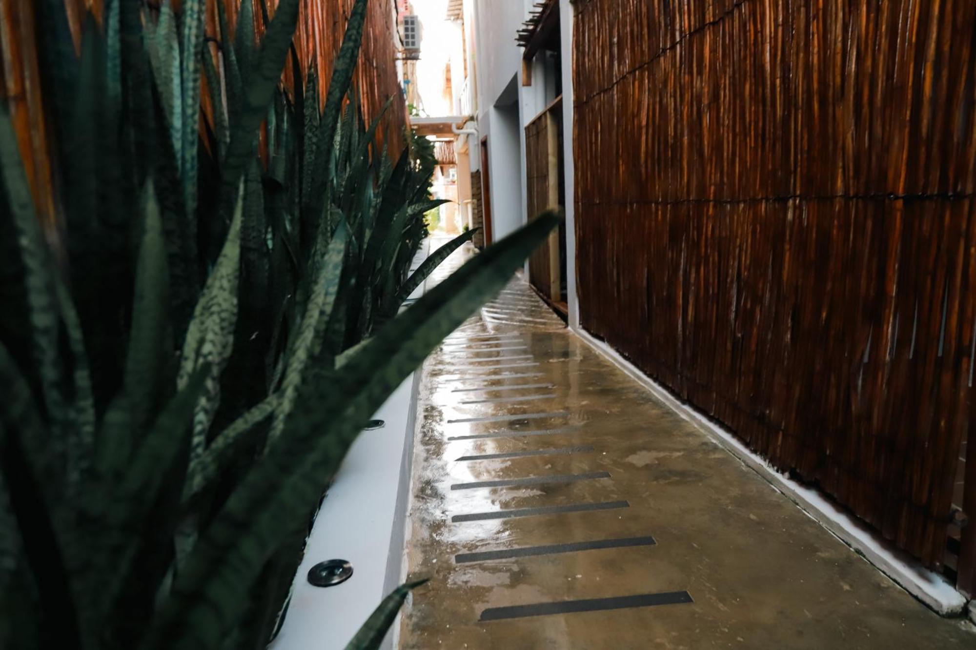 Hostal Casa En La Cienaga Rincon Del Mar Eksteriør billede